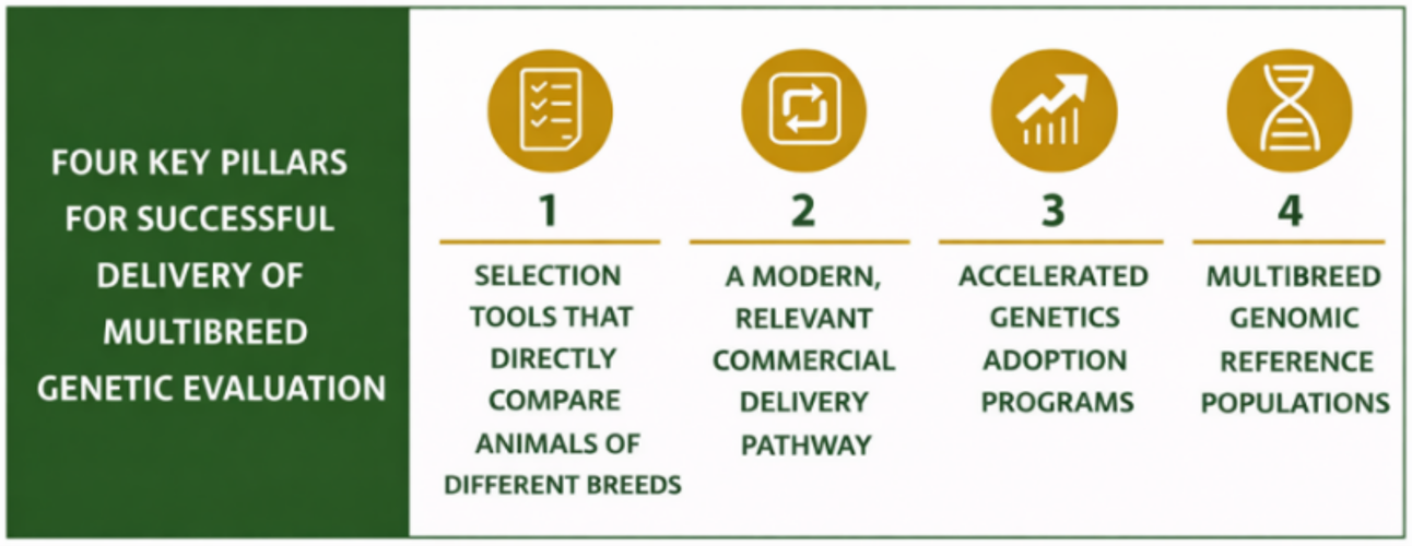 4 key pillars