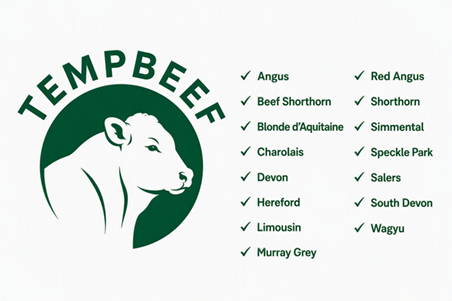 tempbeef