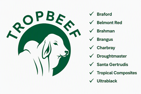 tropbeef