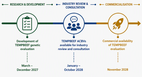 tempbeef genetic evaluation timeline