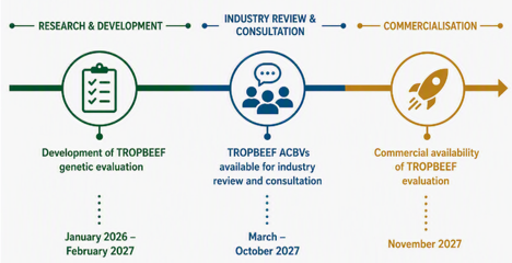 tropbeef genetic evaluation timeline